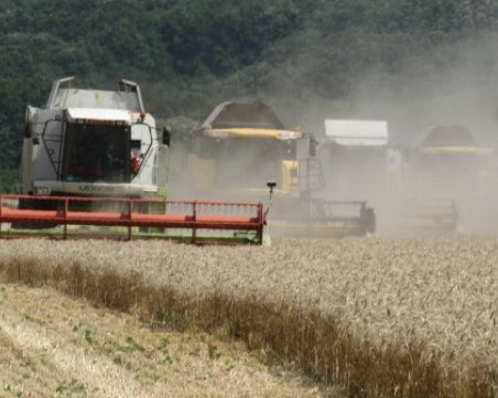 България увеличава житните си резерви заради войната