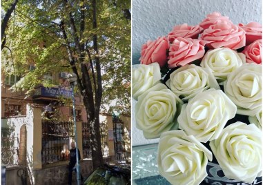 Офис на езикова школа и магазин за цветя в Пловдив