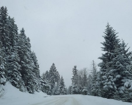 Снеговалежите в Смолянско продължават, натрупа 20 см нова снежна покривка