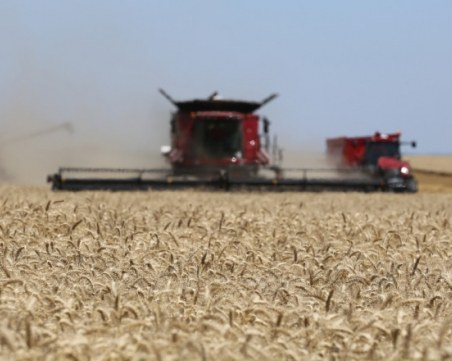 Зърнопроизводители: Създава се хаос на пазара за зърно