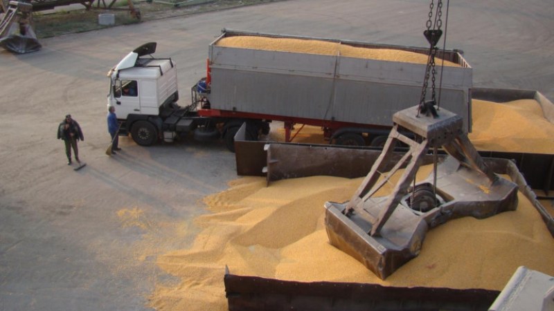 НАП наблюдава износа на зърно от България