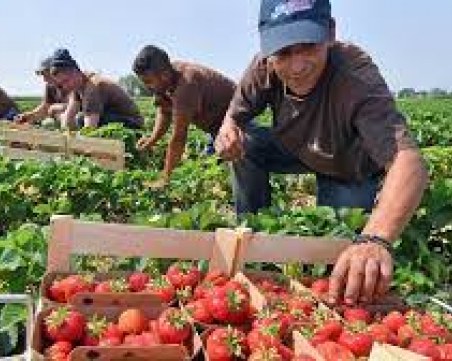 Земеделски производители излизат протест, недоволни са от подпомагането