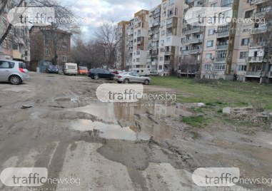 В Пловдив има над 170 000 кв м кални петна Това