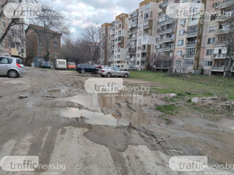 В Пловдив има над 170 дка кални петна! Глобата на Зико обаче за други 3 еконарушения