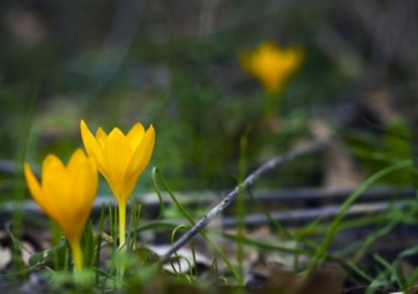 В 17 33 часа у нас днес настъпи астрономическата пролет Това