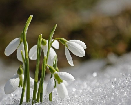 Слънчев, но студен ще е първият работен ден