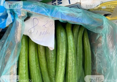 Българските зеленчуци са на изчезване Зеленчукопроизводителите излизат на протест с