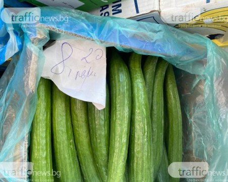 Българските зеленчуци са на изчезване – след 10 години ще са екзотика