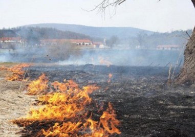 Пожар вилня в сухи треви на голяма площ между Стамболийски