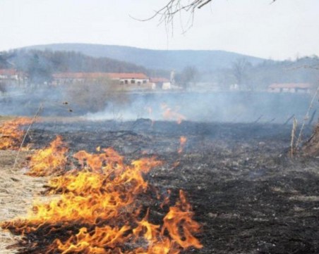 Четири пожарни гасиха пожар край Стамболийски