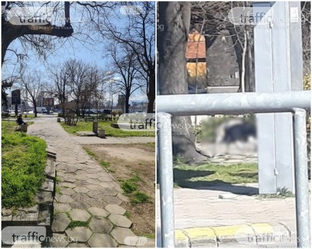 Майка с ужасяващ разказ за починалия човек в центъра на Пловдив: Не знаем живи или мъртви са