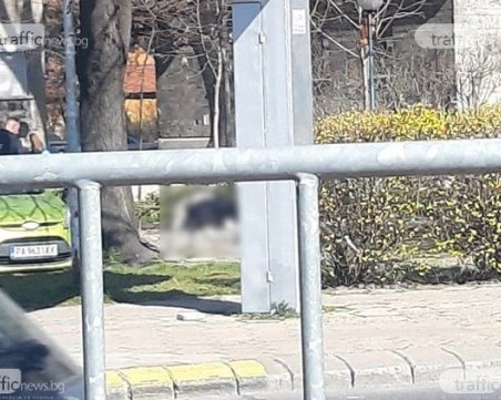 Откриха мъртъв мъж на пейка в пловдивски парк