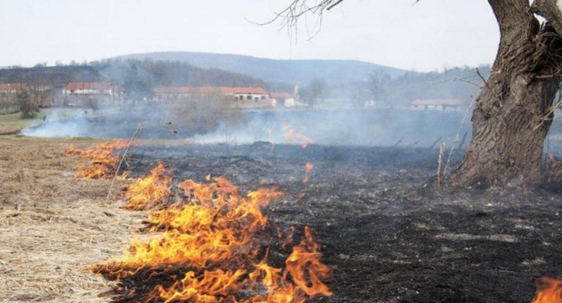Четири пожарни гасиха пожар край Стамболийски