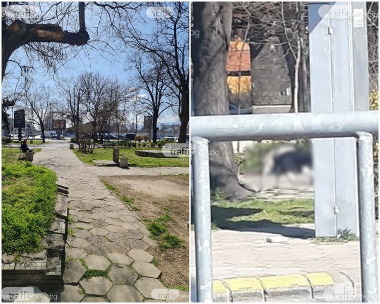 Майка с ужасяващ разказ за починалия човек в центъра на Пловдив: Не знаем живи или мъртви са