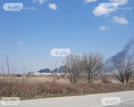 Пожар гори край Околовръстното на Пловдив