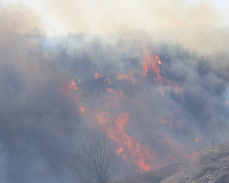 Избухна пожар край Дупница, магистрала 