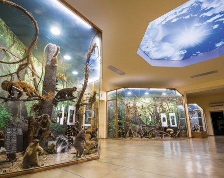 Музеите и галериите в Пловдив променят цените на билетите и услугите си