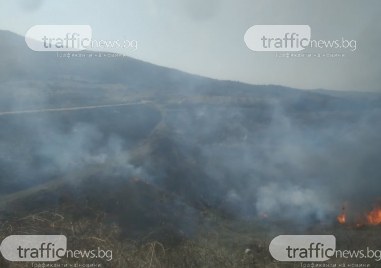 Голям пожар гори край пловдивското село Марково сигнализира читател на