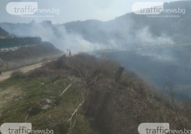 Потушиха пожара край пловдивското село Марково Както TrafficNews bg съобщи огънят