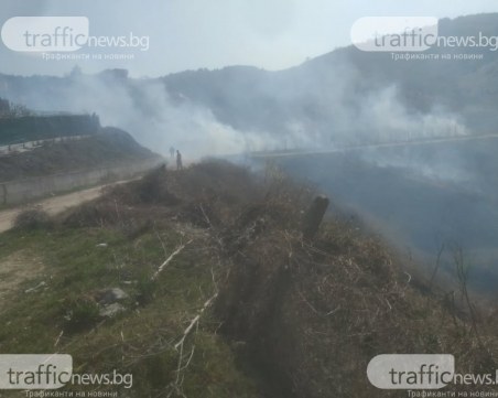 Кметицата на Марково призова доброволци да се включат в гасенето на пожара
