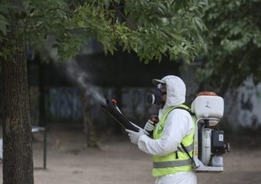 Стартира първата планова масова дезакаризация в Пловдив за тази година Специализираните екипи ще