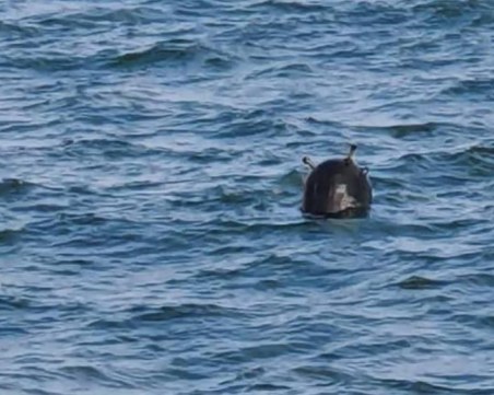 Откриха мина в Черно море близо до границата с България
