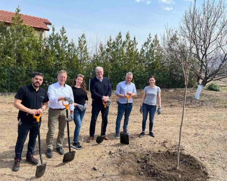 Немци садиха японски кленове край Куклен