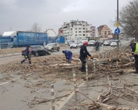 Човек е в тежко състояние, клон падна върху него заради вятъра в София
