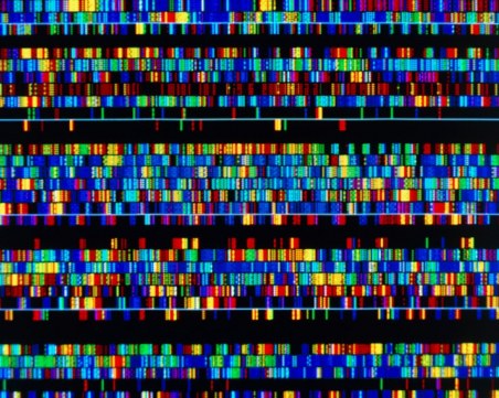 Учени публикуваха за първи път пълния човешки геном