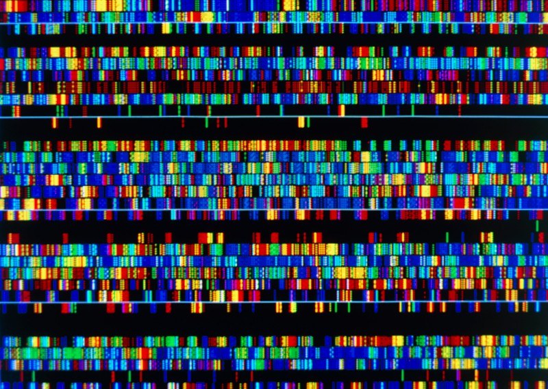 Учени публикуваха за първи път пълен човешки геном, съобщи Ройтерс,