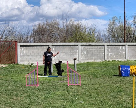 Полицейско куче 