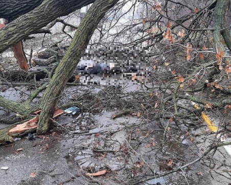 Русия: Убийствата в Буча са продукция на Киев и западните медии