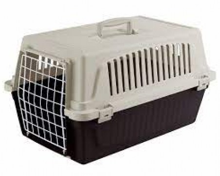 Задържаха пратка с 16 незаконни домашни любимци при опит да напуснат България