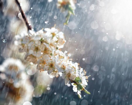 Превалявания от дъжд и по-високи температури днес