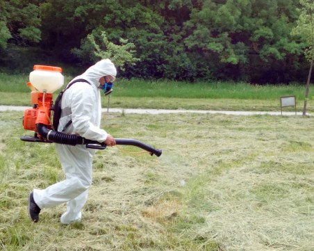 Продължава пръскането срещу кърлежи в Пловдив