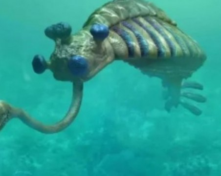 Как е изглеждал животът на Земята преди хората