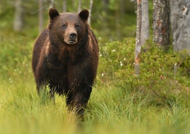 115 проверки са извършили от РИОСВ през март в Пловдив