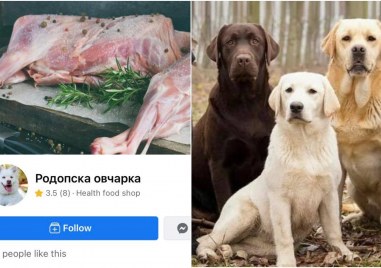 Вместо агнешко за празниците страница във Фейсбук предлага кучешко месо