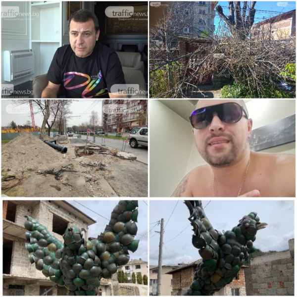 ОБЗОР: Бизнесът против спиране приемането на нови ПУП-ове, частни резачи осакатиха десетки дървета в Коматево