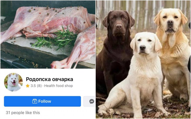 Вместо агнешко за празниците, страница във Фейсбук предлага кучешко месо.