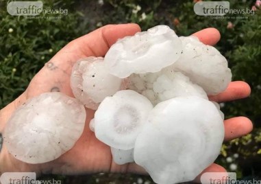 Земеделските стопани от Пловдивска област претърпели под 100 щети от