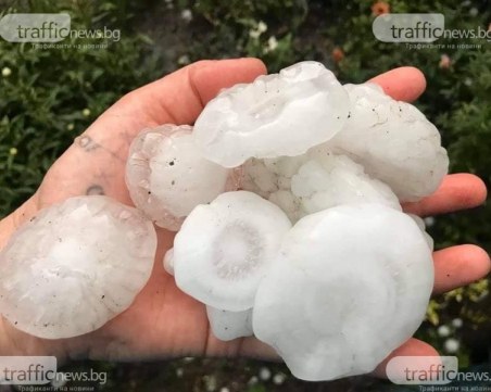 Компенсират десетки земеделци в Пловдивско