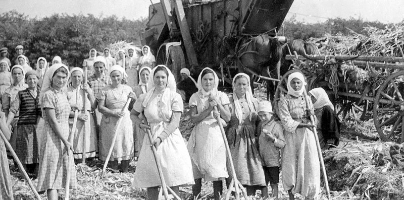 На този ден: Започва колективизацията на труда в България