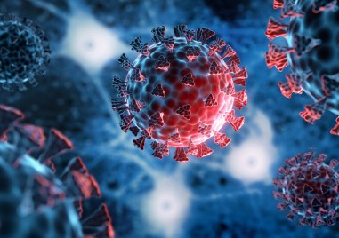 Вирусът причиняващ новия коронавирус може да се настани и да