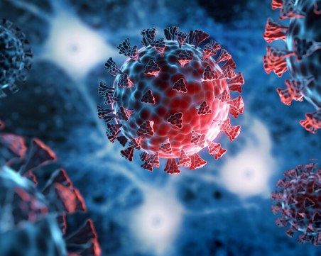 СЗО: Вирусът, причиняващ COVID-19, може да живее в различни видове животни