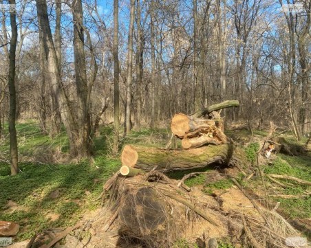 Трескава подготовка за 