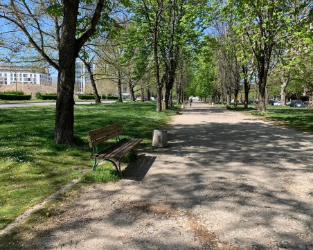 Започва тотална промяна на алеята на булевард 