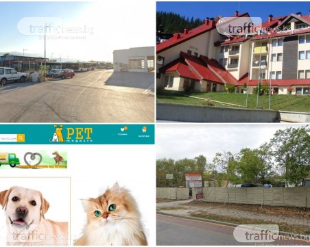 Данъчни отново с удар: Запечатват сервиз, бензиностанция и хотел в Пловдив и Пампорово