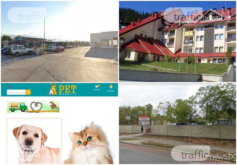 Данъчни отново с удар: Запечатват бензиностанция и хотел в Пловдив и Пампорово