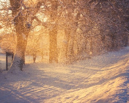 Рязко застудяване и сняг на отделни места се очакват утре